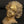 2" Small Roman Women Head Statue