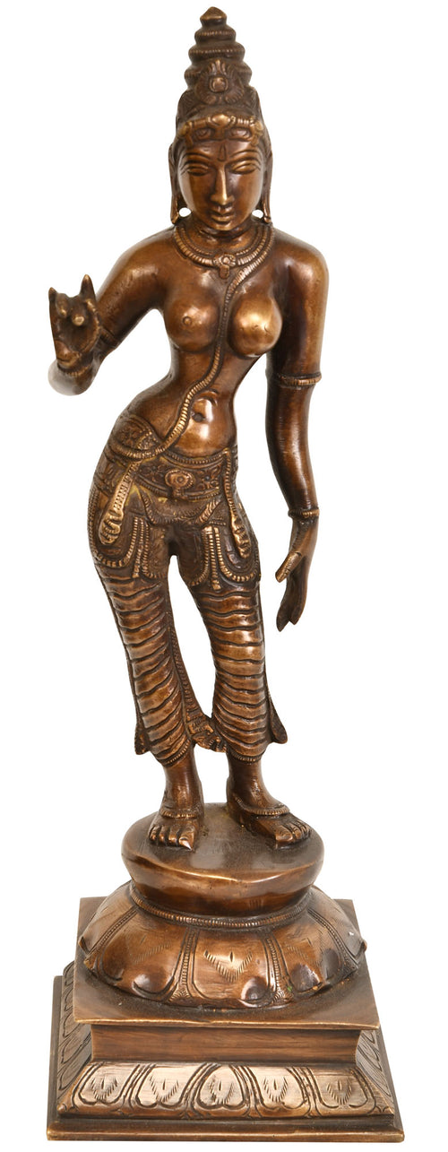 11" Goddess Uma Shivakasundari Handmade Brass Idol