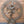 72" Huge Size Nataraja (Dancing Lord Shiva) | Brass Statue