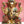 22" Brass Ganesha with Inlay Work