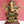 8" Brass Lord Ganesha