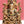 19" Brass Lord Seated Ganesha