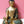 16" The Medicine Buddha