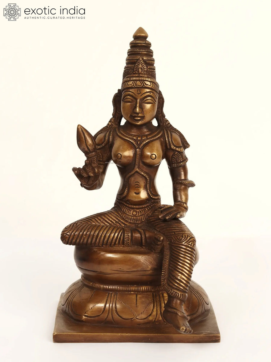 9" Brass Goddess Parvati Statue with Pedestal Base