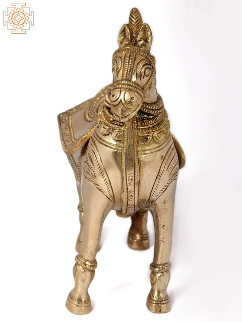 6'' Standing Horse Cash Box | Home Decor | Brass