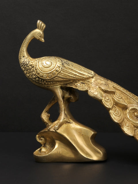 11" Brass Peacock Figurine | Showpiece