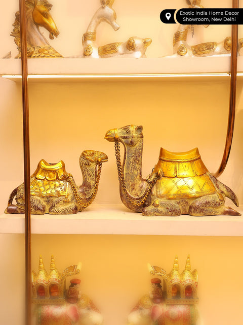 16" Pair of Camel in Brass | Decorative Showpiece