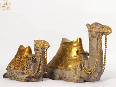 16" Pair of Camel in Brass | Decorative Showpiece