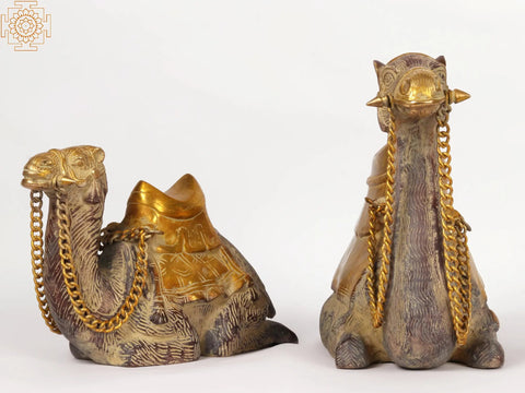 16" Pair of Camel in Brass | Decorative Showpiece