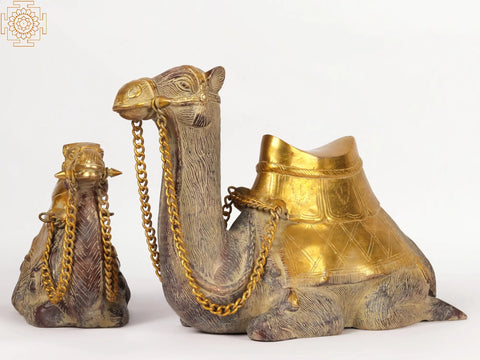 16" Pair of Camel in Brass | Decorative Showpiece