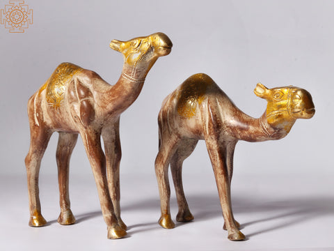 7'' Wandering Camels Figurine in Brass | Home Décor