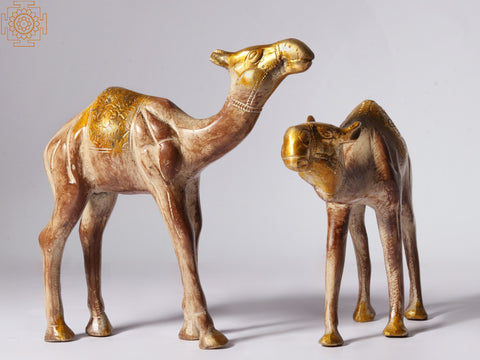 7'' Wandering Camels Figurine in Brass | Home Décor