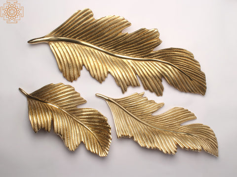 17'' Feather Of Birds (Set of 3) | Wall Hanging | Home Decor