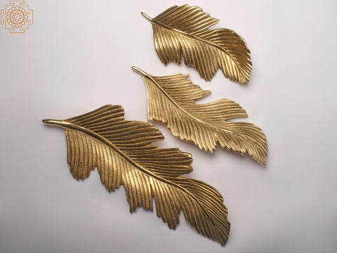 17'' Feather Of Birds (Set of 3) | Wall Hanging | Home Decor