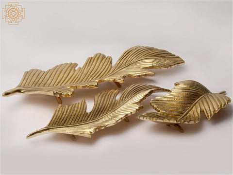 17'' Feather Of Birds (Set of 3) | Wall Hanging | Home Decor