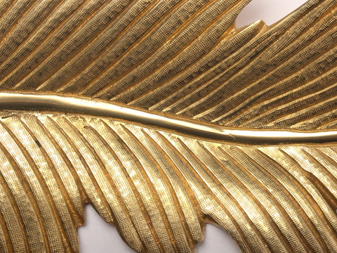 17'' Feather Of Birds (Set of 3) | Wall Hanging | Home Decor