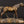 6" Horse in Brass | Decorative Showpiece