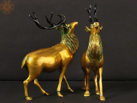 9" Antilope Pair in Brass | Made in India