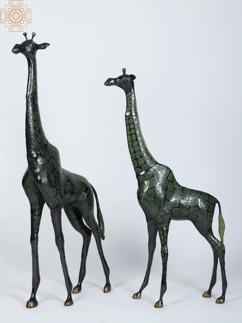 46" Pair of Giraffe Brass Statue