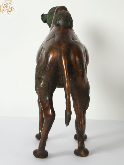 18" Decorative Brass Camel | Home Decor