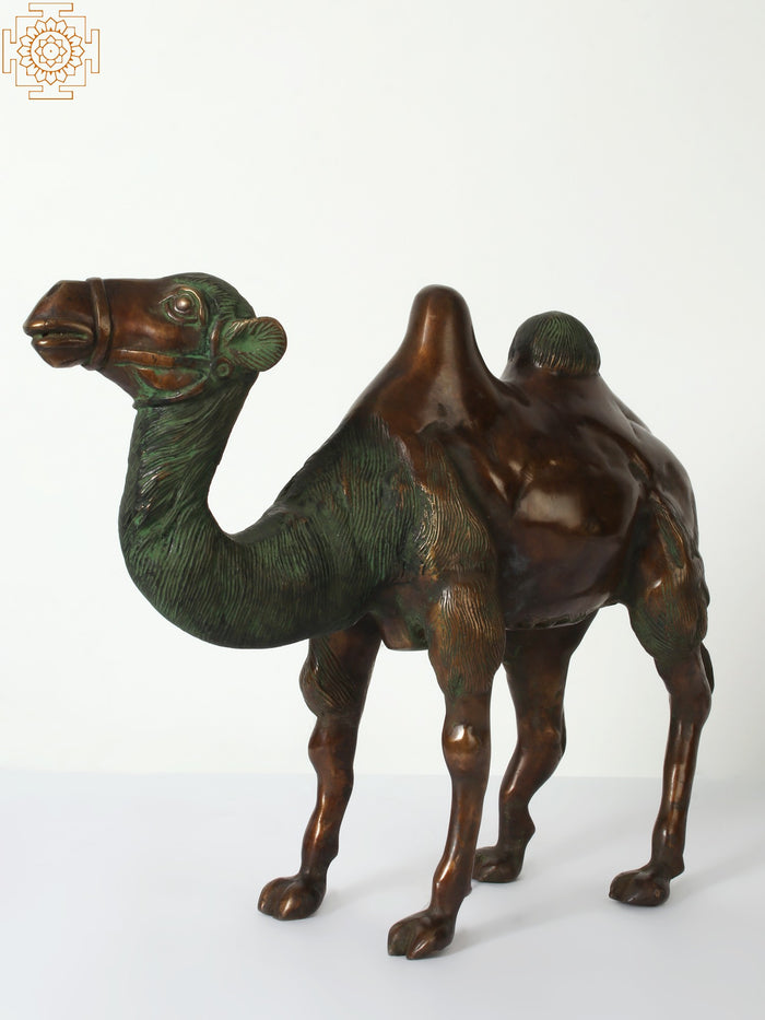 18" Decorative Brass Camel Statue for Home Decor