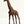 13" Brass Decorative Giraffe Statue | Home Decor