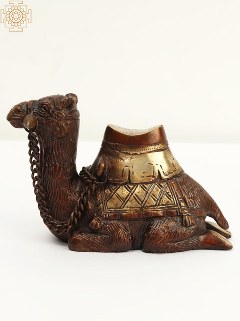 7" Brass Sitting Camel Statue | Home Decor