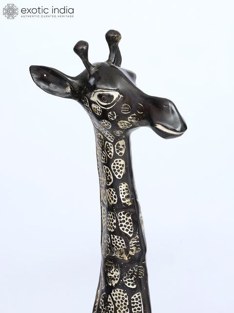 53" Pair of Giraffe Statues in Brass - The Tallest Animal on Earth