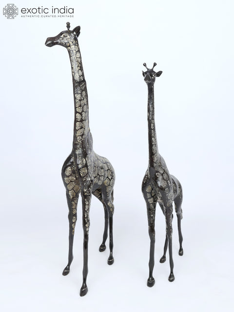 53" Pair of Giraffe Statues in Brass - The Tallest Animal on Earth