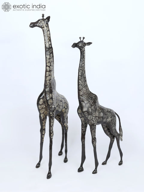 53" Pair of Giraffe Statues in Brass - The Tallest Animal on Earth