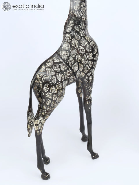 53" Pair of Giraffe Statues in Brass - The Tallest Animal on Earth