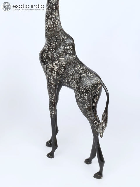 53" Pair of Giraffe Statues in Brass - The Tallest Animal on Earth