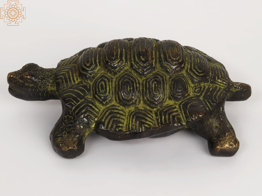 8" Brass Tortoise Statue for Home Decor