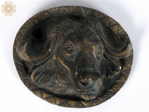 4" Small American Bison Tribal Knob in Brass
