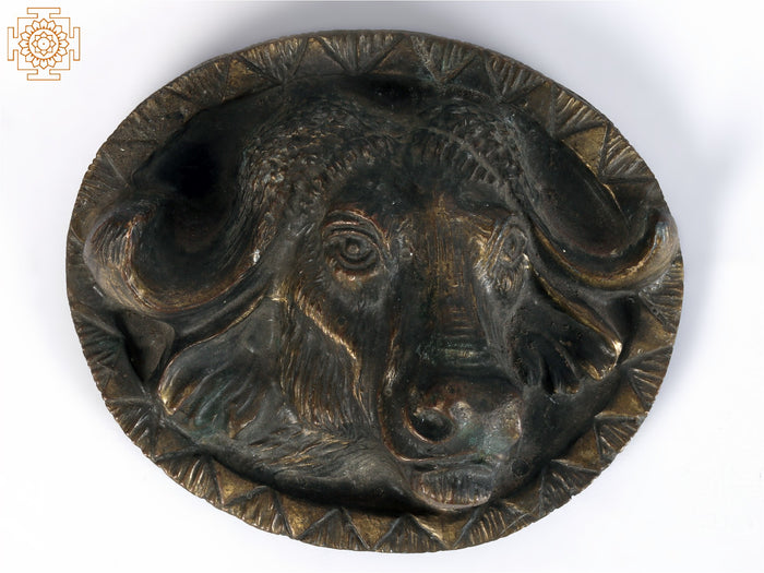 4" Brass American Bison Tribal Knob Handmade