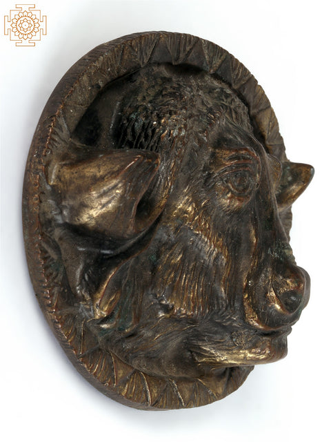 4" Small American Bison Tribal Knob in Brass