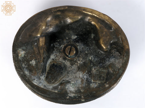 4" Small American Bison Tribal Knob in Brass