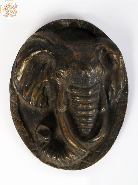 Elephant Head Tribal Knob in Brass