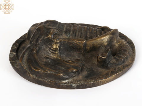 Elephant Head Tribal Knob in Brass