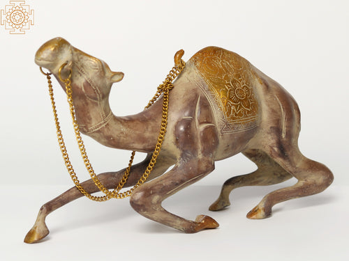 12" Seated Brass Camel Statue for Home Decor