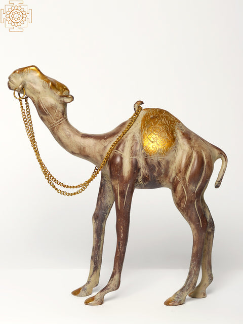 12" Brass Camel Figurine in Standing Position | Decorative Piece