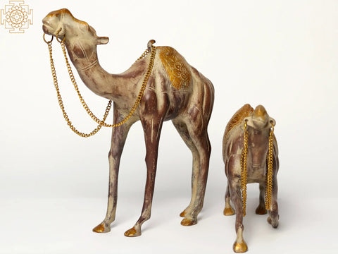12" Brass Camel In Pair | Decorative Piece