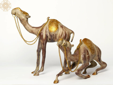 12" Brass Camel In Pair | Decorative Piece