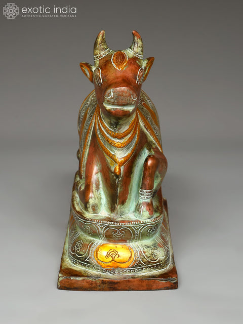 10" Brass Nandi Statue (Lord Shiva's Vahan)