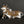 13" Silver and Gold Brass Nandi - The Vehicle of Lord Shiva