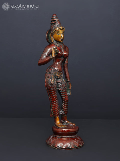 10" Goddess Parvati Shivakamsundari Brass Idol
