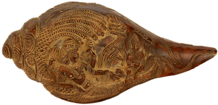 3" Sheshshayi Vishnu Conch in Brass | Handmade | Made in India