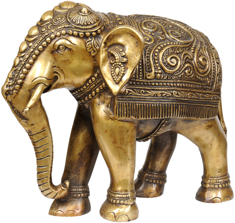 Elephant with Decorative Over-Cloth