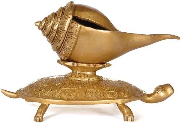 8" Conch on Tortoise in Brass | Handmade | Made in India