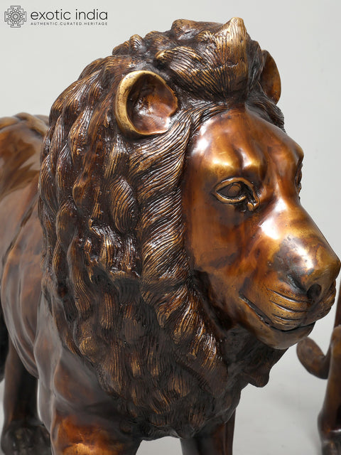 Large Size Pair of Lions